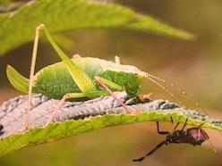 Unsichtbares sichtbar machen