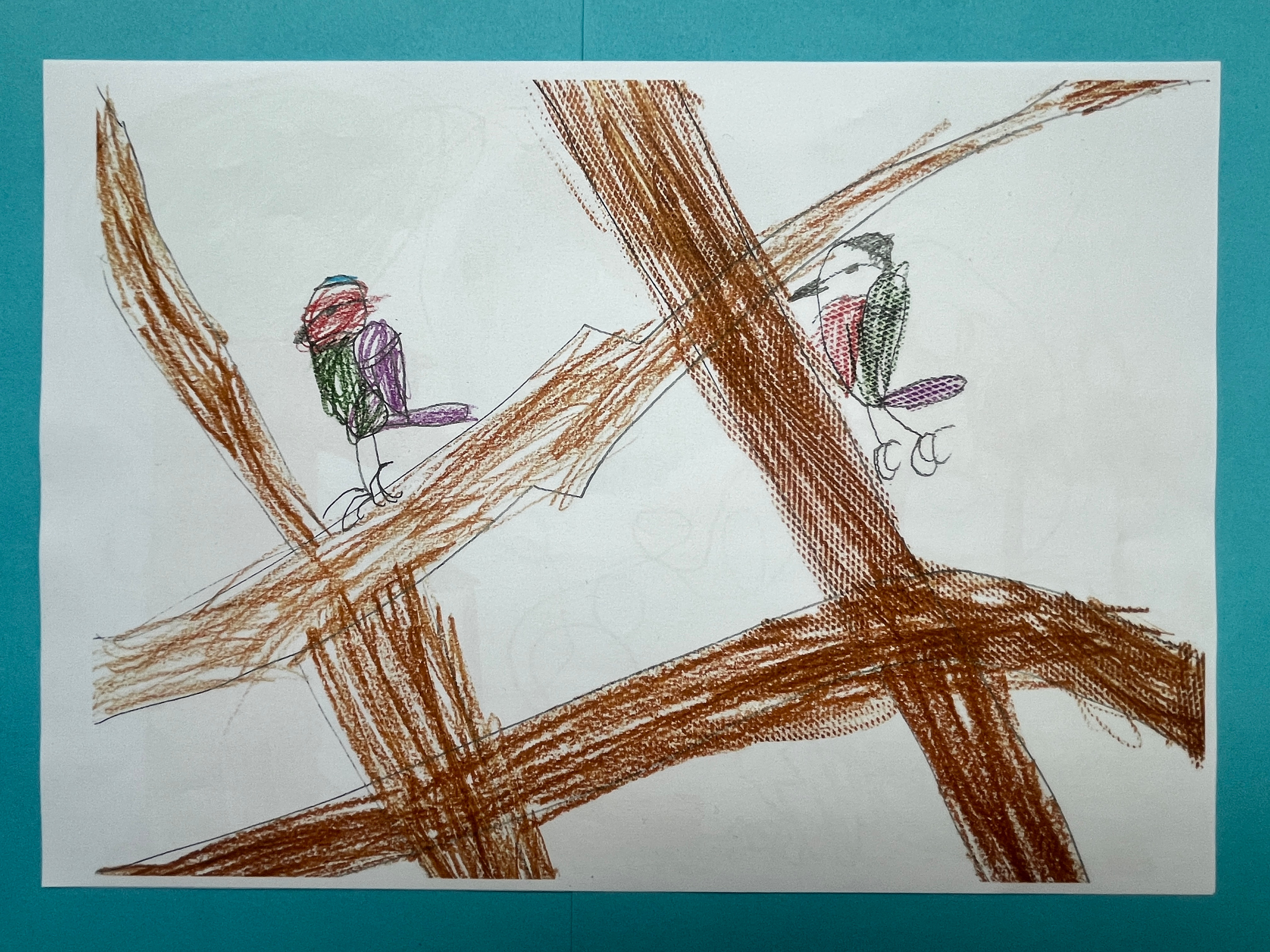 Zeichnung Singvögel